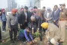 Plantation by Dignitaries